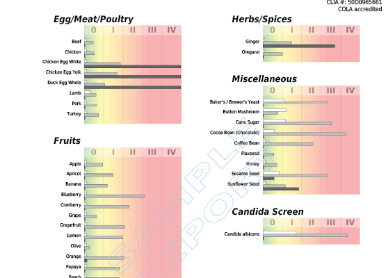 240 Food Panel - Ultra HD Nature Background - Ultra HD